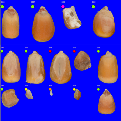 Corn Subscription Model – Videometer A/S